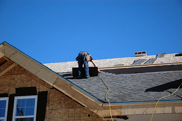 Best Roof Leak Repair  in Dale, IN